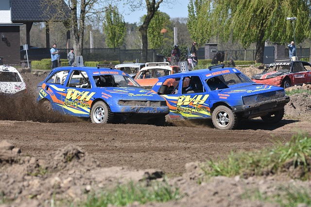 由我国主导 由我国主导