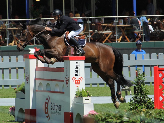 队赢得多个 队赢得多个