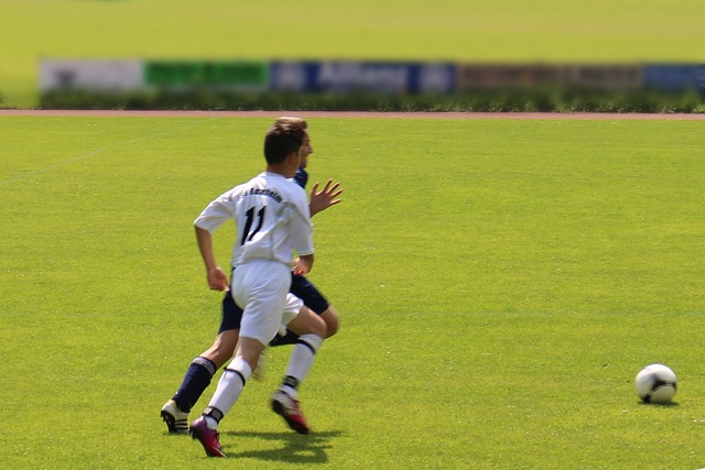 布朗还强调 布朗还强调