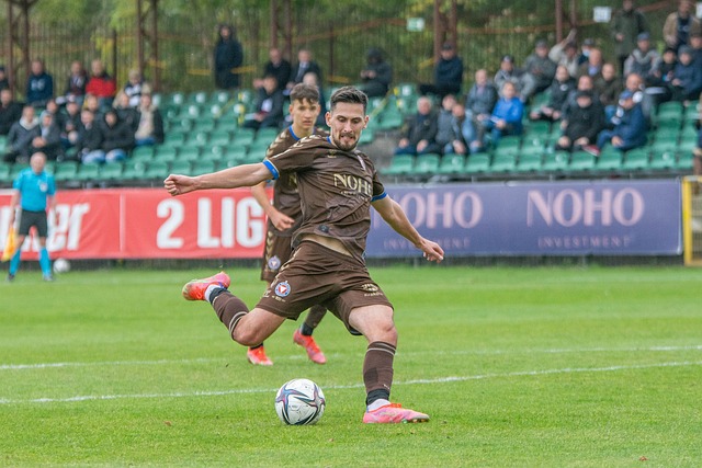 火箭队可能 火箭队可能