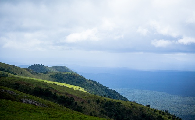 那个虚拟的 那个虚拟的