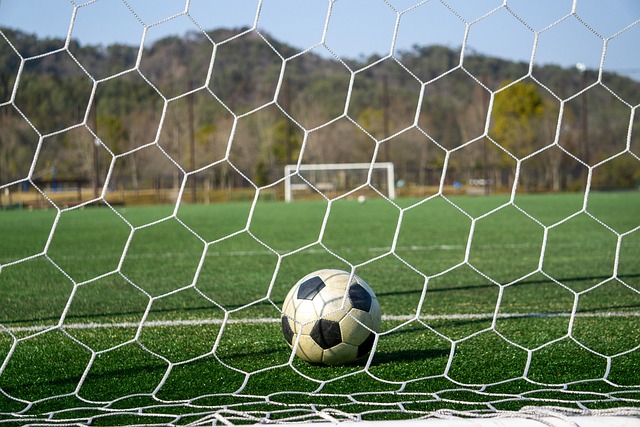 在这样的背 在这样的背